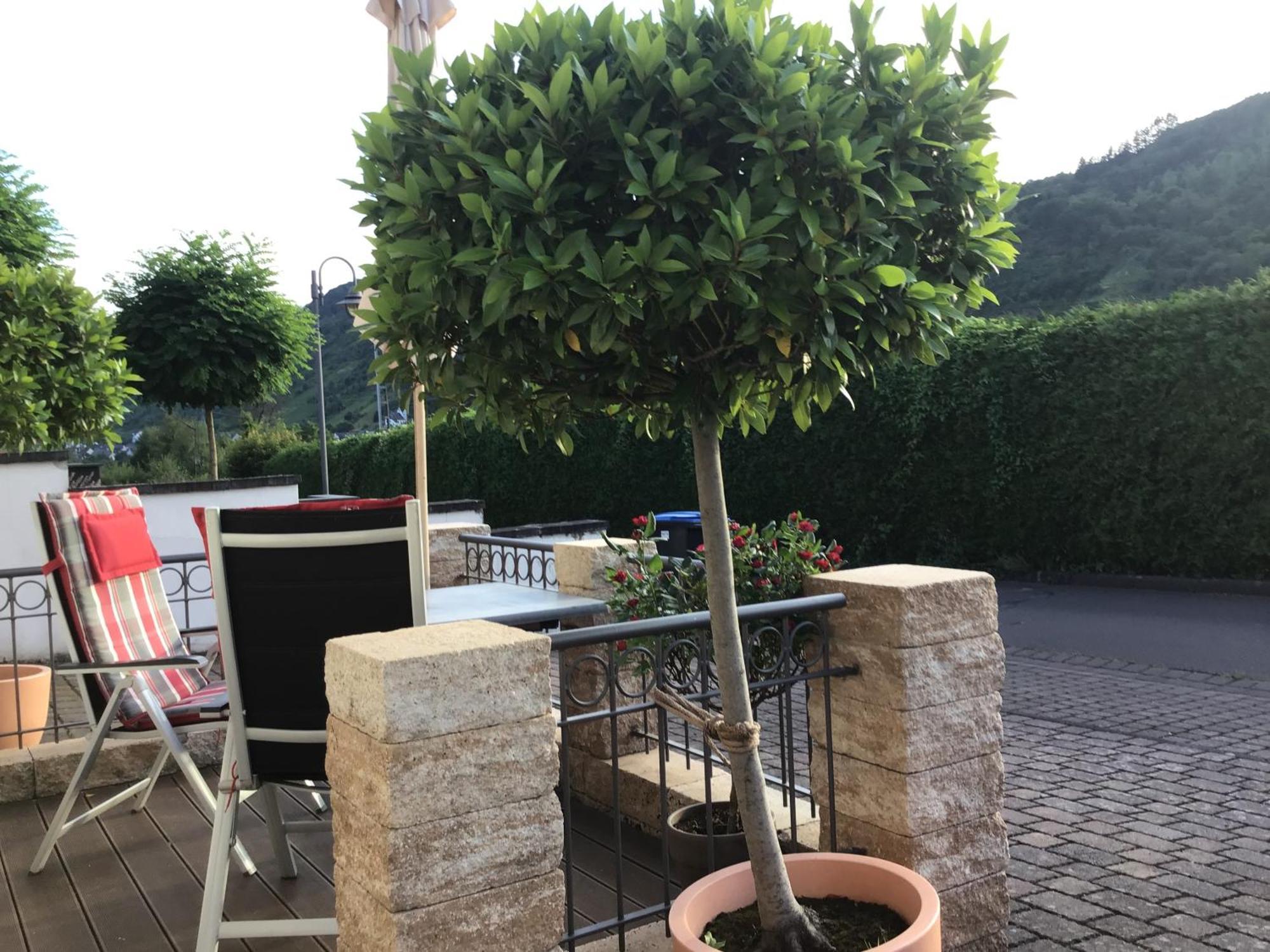 Wagner 4 Sterne Appartement Neef