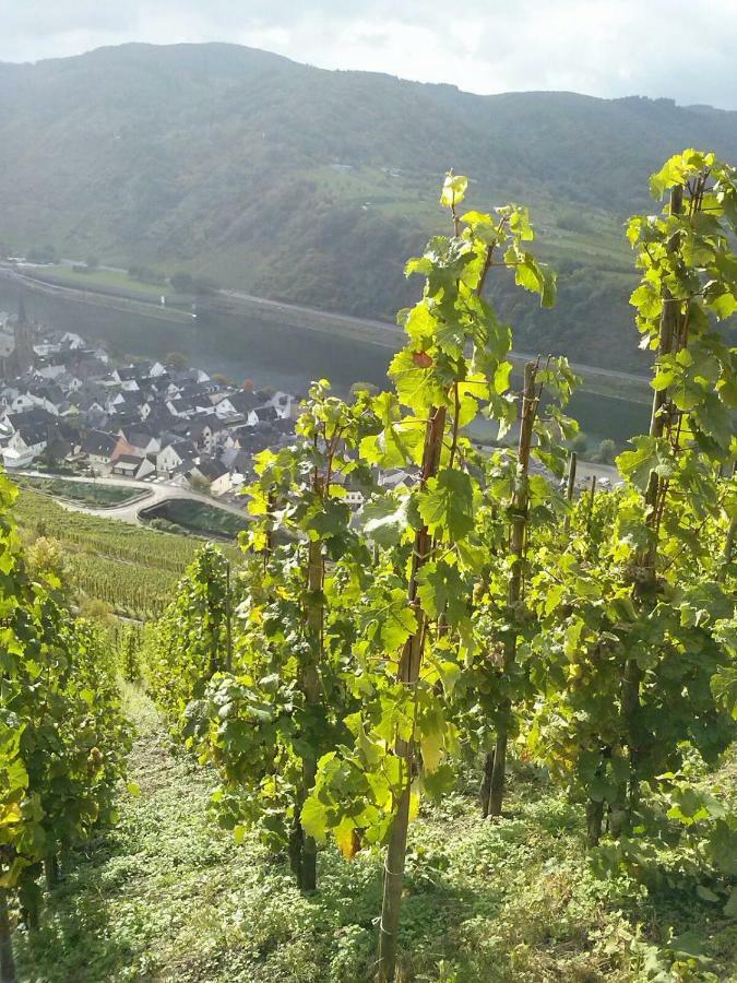 Wagner 4 Sterne